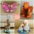 Krásne DIY remeslá z borovicových šišiek