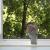Толкование приметы: голубь залетел в окно или на балкон