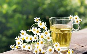 8 ailments that chamomile cures