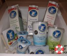 Kozje mleko - koristne lastnosti in kontraindikacije kraljeve pijače